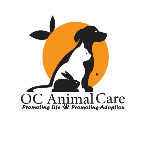 yorba linda animal control|orange county cat adoption.